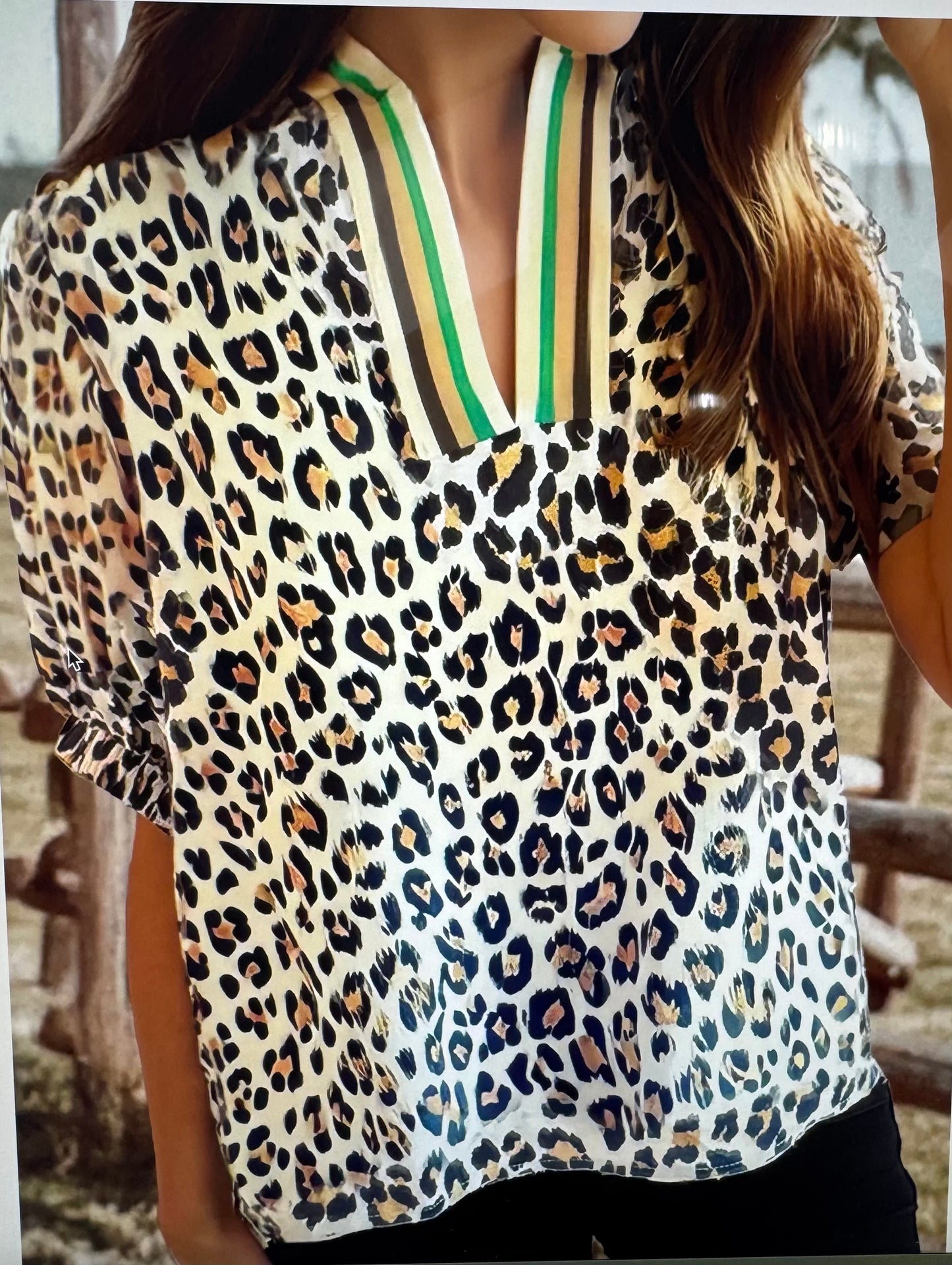 Leopard With Stripes Top