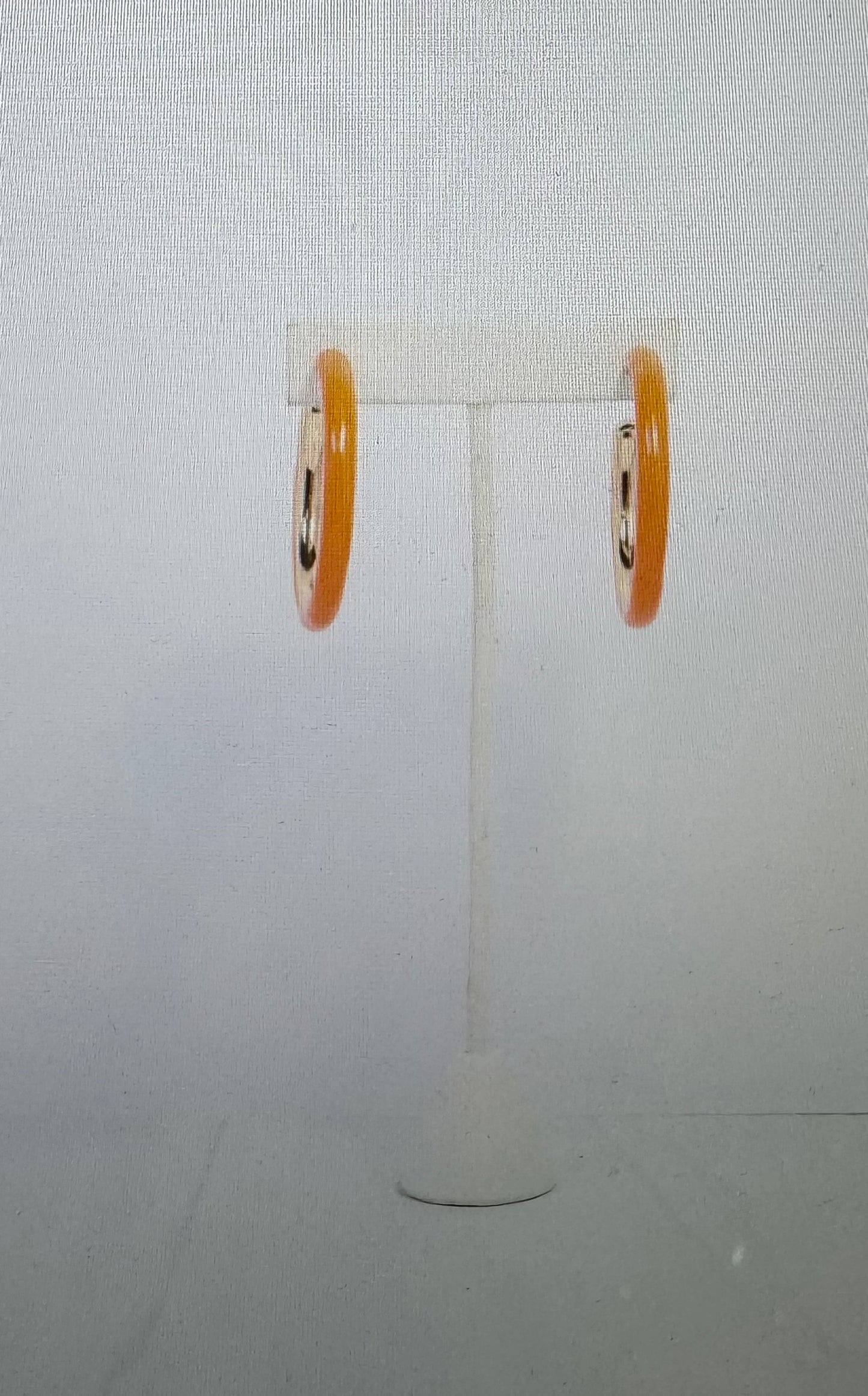 Larson Enamel Hoop Earring