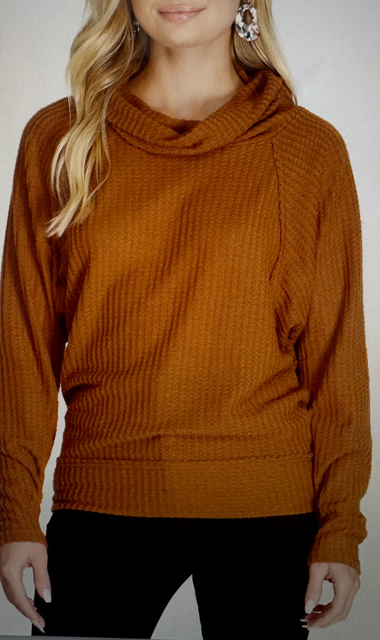 Caramel Cutie
