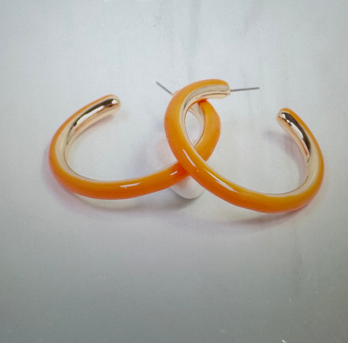 Larson Enamel Hoop Earring